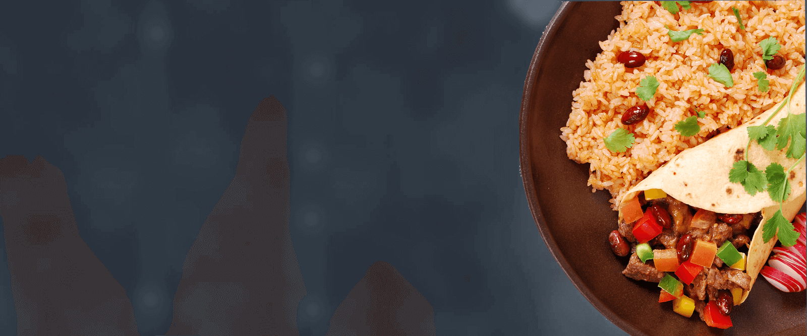 banner1